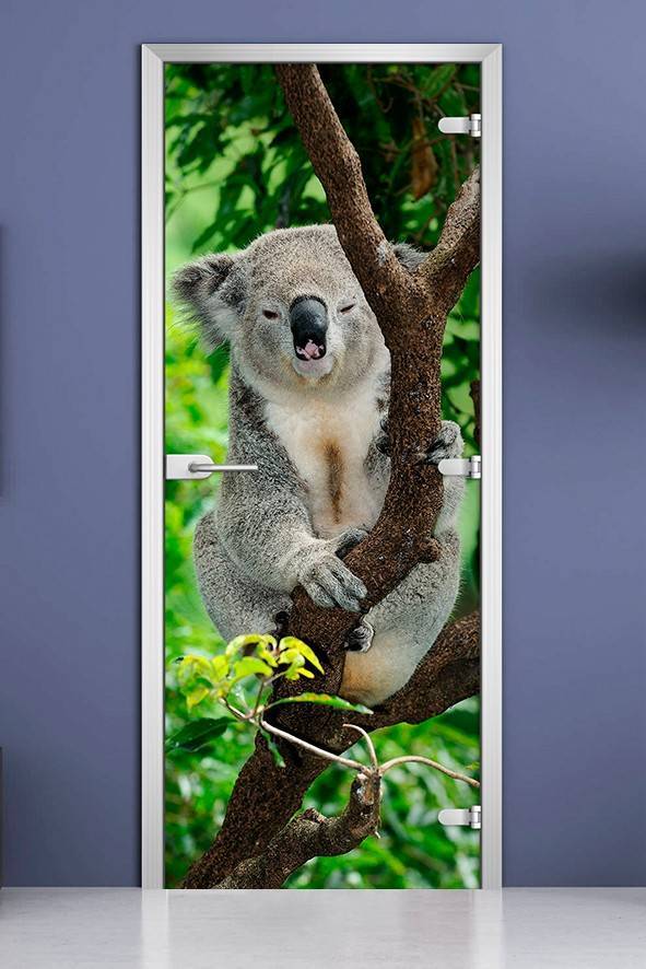 Стеклянная межкомнатная дверь с фотопечатью «Animals-10»