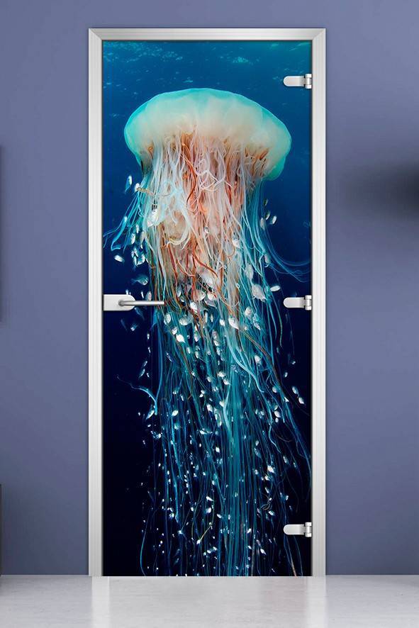 Стеклянная межкомнатная дверь с фотопечатью «Underwater World-13»