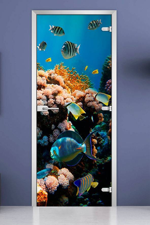 Стеклянная межкомнатная дверь с фотопечатью «Underwater World-14»