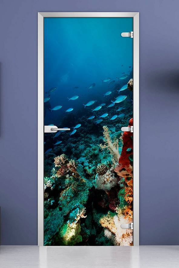 Стеклянная межкомнатная дверь с фотопечатью «Underwater World-11»