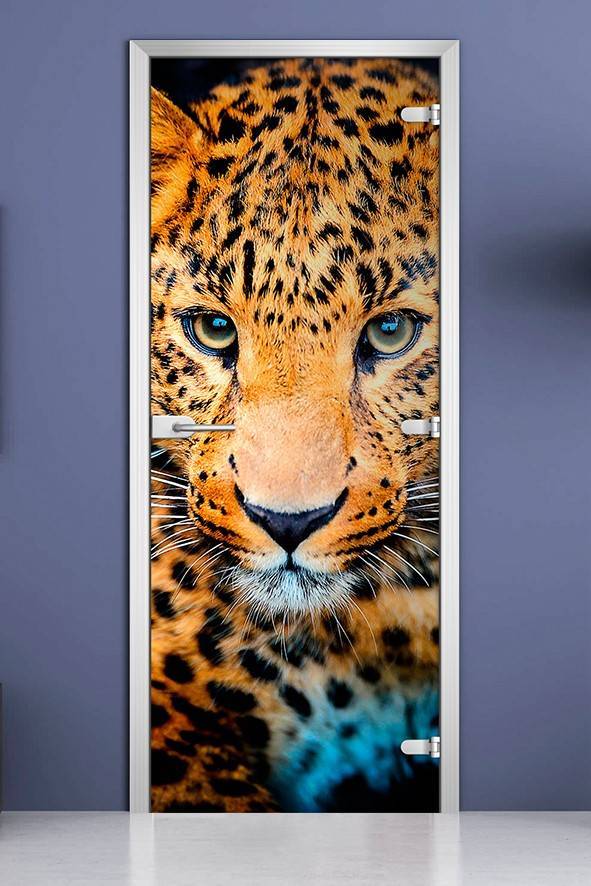 Стеклянная межкомнатная дверь с фотопечатью «Animals-08»