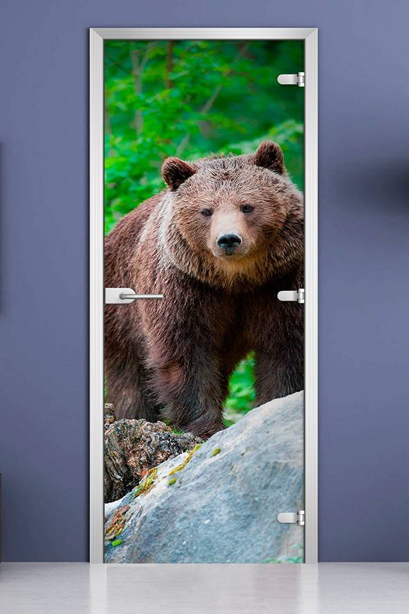 Стеклянная межкомнатная дверь с фотопечатью «Animals-03»