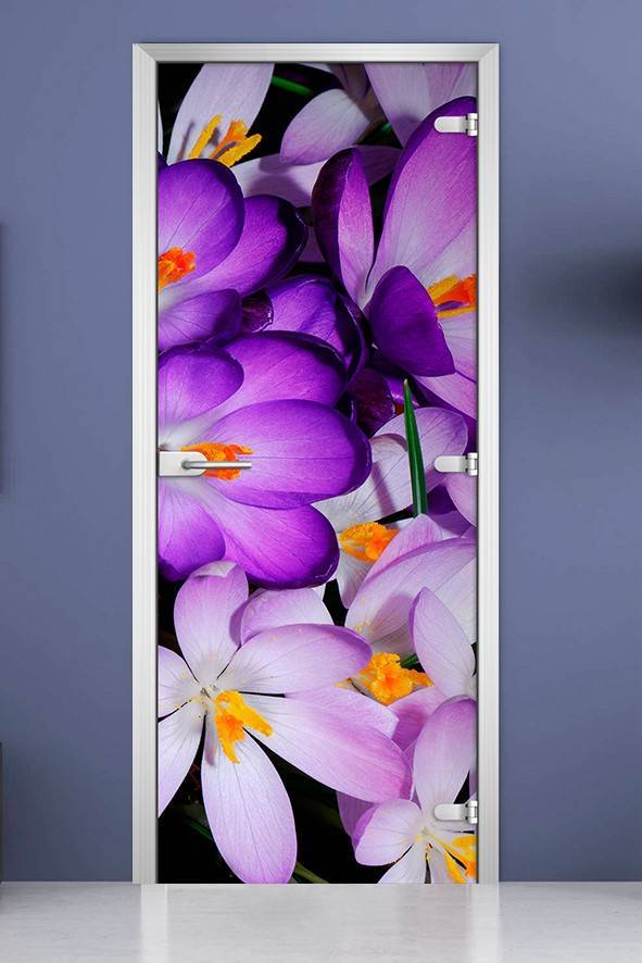 Стеклянная межкомнатная дверь с фотопечатью «Flowers-13»