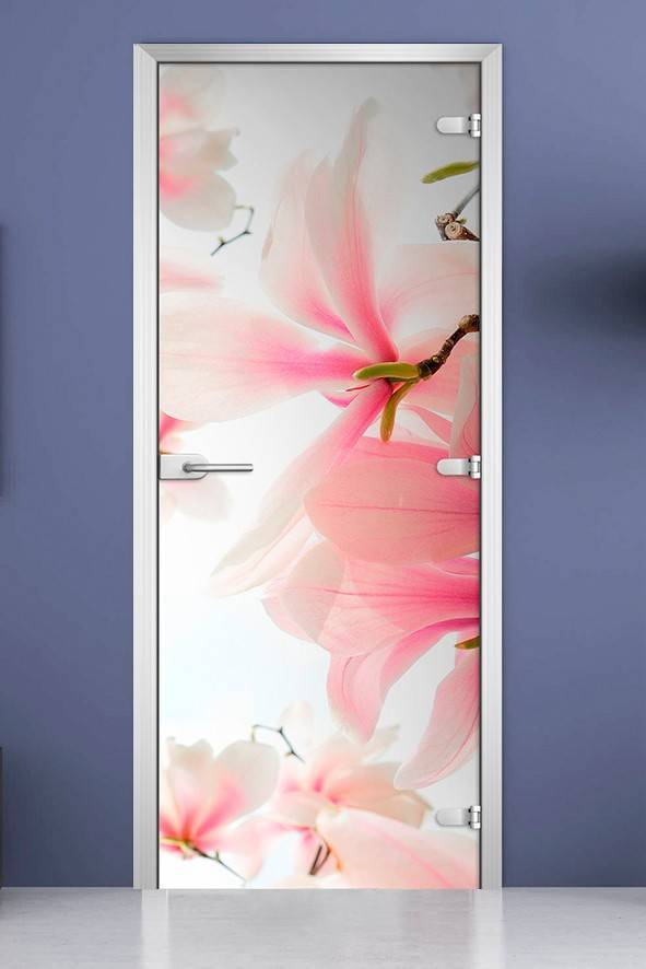 Стеклянная межкомнатная дверь с фотопечатью «Flowers-14»