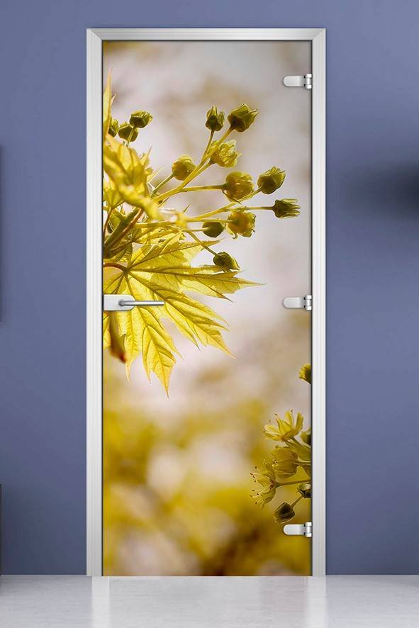 Стеклянная межкомнатная дверь с фотопечатью «Flowers-09»