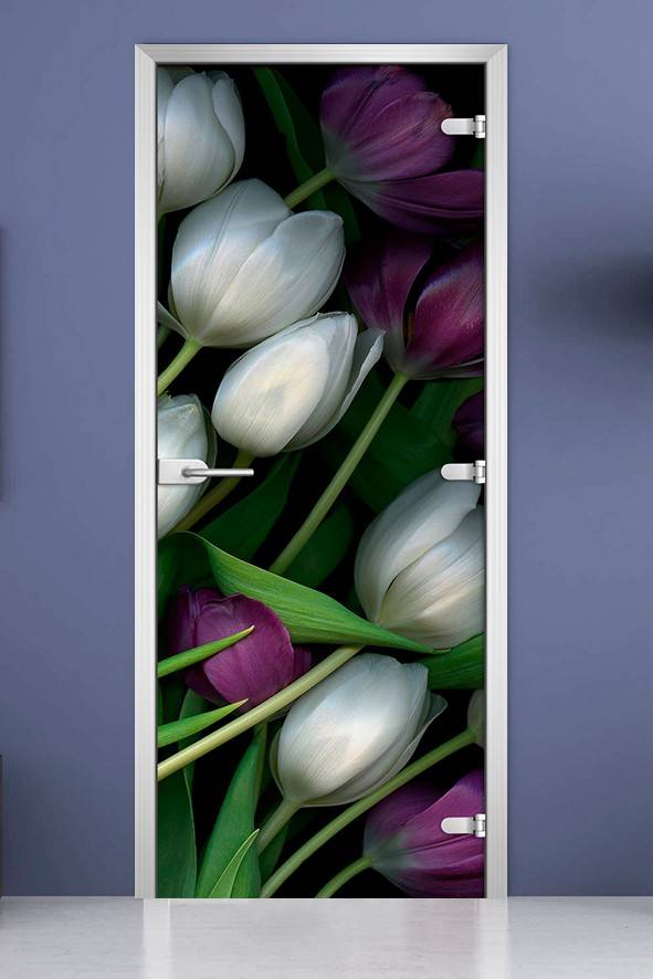 Стеклянная межкомнатная дверь с фотопечатью «Flowers-12»