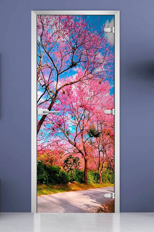 Стеклянная межкомнатная дверь с фотопечатью «Nature-12»