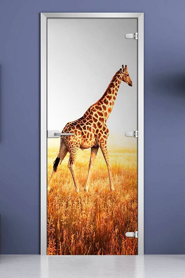 Стеклянная межкомнатная дверь с фотопечатью «Animals-14»