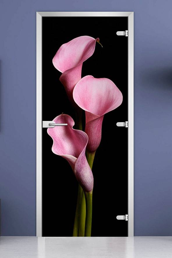 Стеклянная межкомнатная дверь с фотопечатью «Flowers-02»