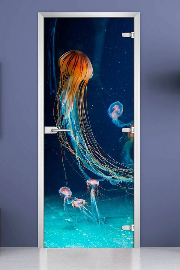 Стеклянная межкомнатная дверь с фотопечатью «Underwater World-12»