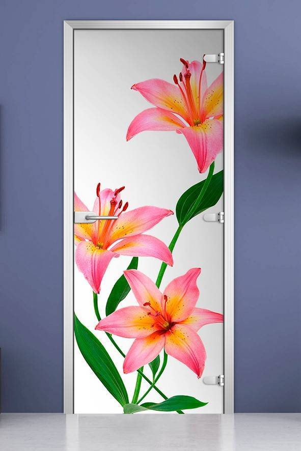 Стеклянная межкомнатная дверь с фотопечатью «Flowers-03»