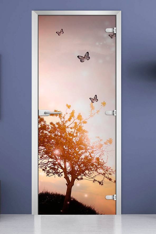 Стеклянная межкомнатная дверь с фотопечатью «Nature-10»