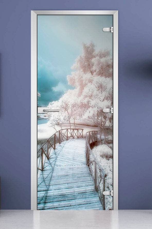 Стеклянная межкомнатная дверь с фотопечатью «Nature-07»