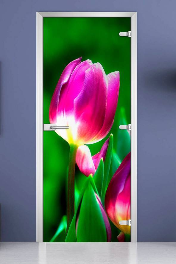 Стеклянная межкомнатная дверь с фотопечатью «Flowers-15»