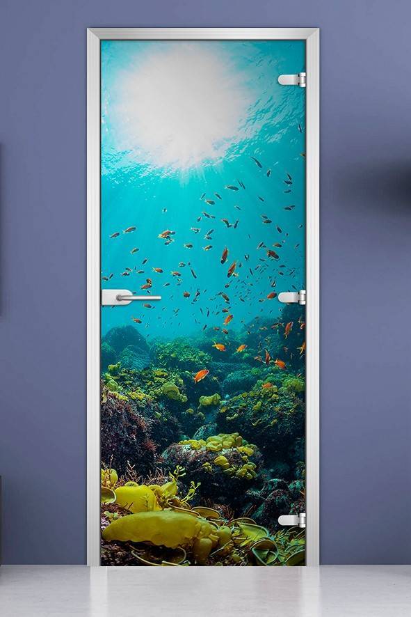 Стеклянная межкомнатная дверь с фотопечатью «Underwater World-06»