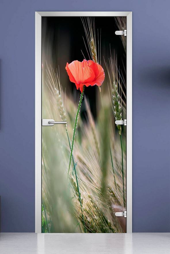 Стеклянная межкомнатная дверь с фотопечатью «Flowers-18»