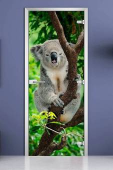 Стеклянная межкомнатная дверь с фотопечатью «Animals-10»