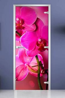 Стеклянная межкомнатная дверь с фотопечатью «Flowers-19»