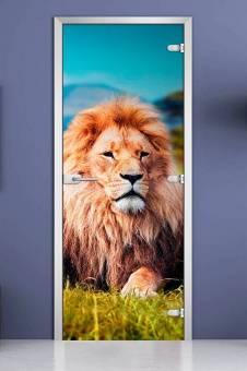 Стеклянная межкомнатная дверь с фотопечатью «Animals-15»