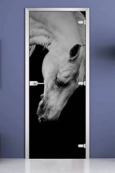 Стеклянная межкомнатная дверь с фотопечатью «Animals-11»