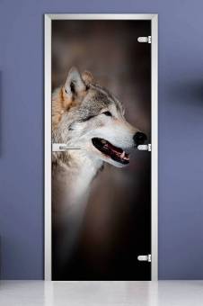 Стеклянная межкомнатная дверь с фотопечатью «Animals-12»