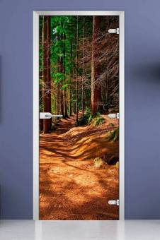 Стеклянная межкомнатная дверь с фотопечатью «Forest-17»