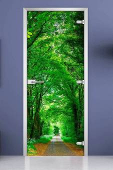Стеклянная межкомнатная дверь с фотопечатью «Forest-05»