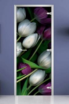 Стеклянная межкомнатная дверь с фотопечатью «Flowers-12»
