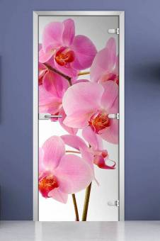 Стеклянная межкомнатная дверь с фотопечатью «Flowers-17»