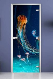Стеклянная межкомнатная дверь с фотопечатью «Underwater World-12»