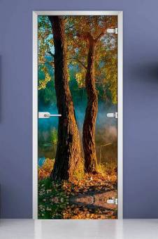 Стеклянная межкомнатная дверь с фотопечатью «Forest-06»