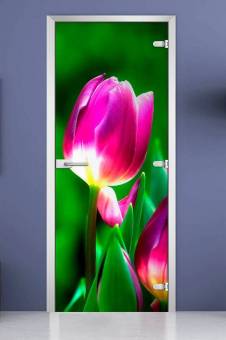 Стеклянная межкомнатная дверь с фотопечатью «Flowers-15»