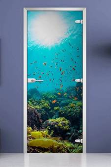 Стеклянная межкомнатная дверь с фотопечатью «Underwater World-06»