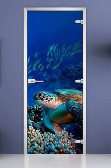 Стеклянная межкомнатная дверь с фотопечатью «Underwater World-03»